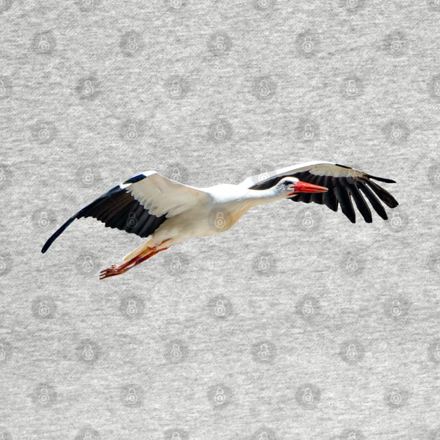 Stork by dalyndigaital2@gmail.com